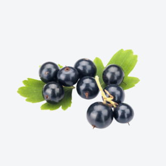 Adsız Tasarım Kopyası (15)